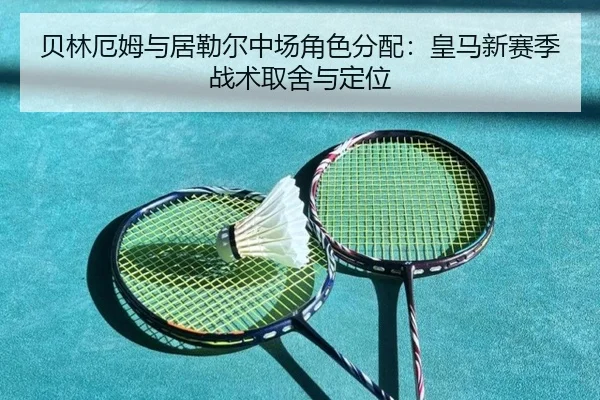 bei-lin-e-mu-yu-ju-lei-er-zhong-chang-jue-se-fen-pei-huang-ma-xin-sai-ji-zhan-shu-qu-she-yu-ding-wei-3-871.jpg